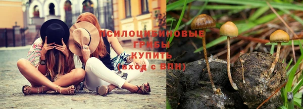 скорость Вяземский