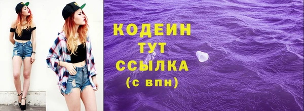 скорость Вяземский