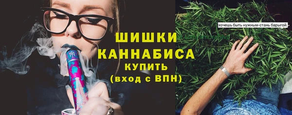 скорость Вяземский